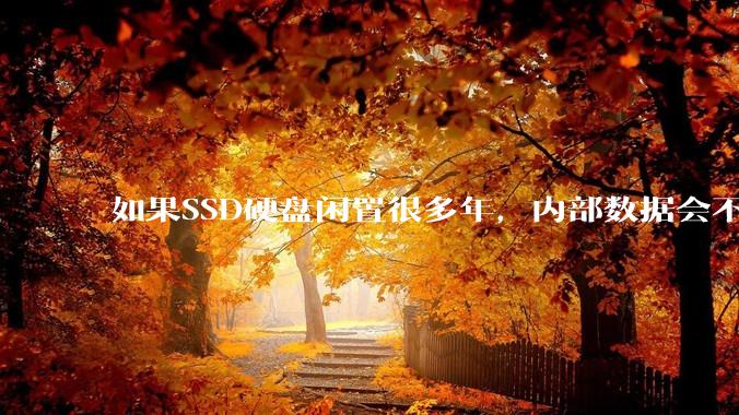如果SSD硬盘闲置很多年，内部数据会不会丢失？