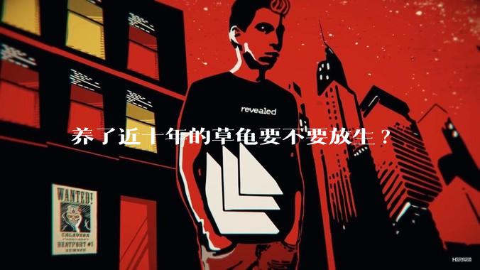 养了近十年的草龟要不要放生?