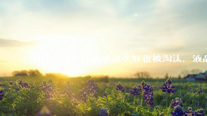 为什么 CRT 画质这么好也被淘汰，液晶反而发展的很好？