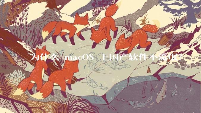 为什么 macOS 上国产软件不流氓？