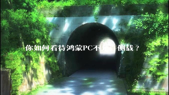 你如何看待鸿蒙PC不允许侧载?