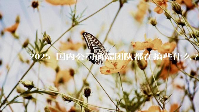 2025 国内公司前端团队都在搞些什么?